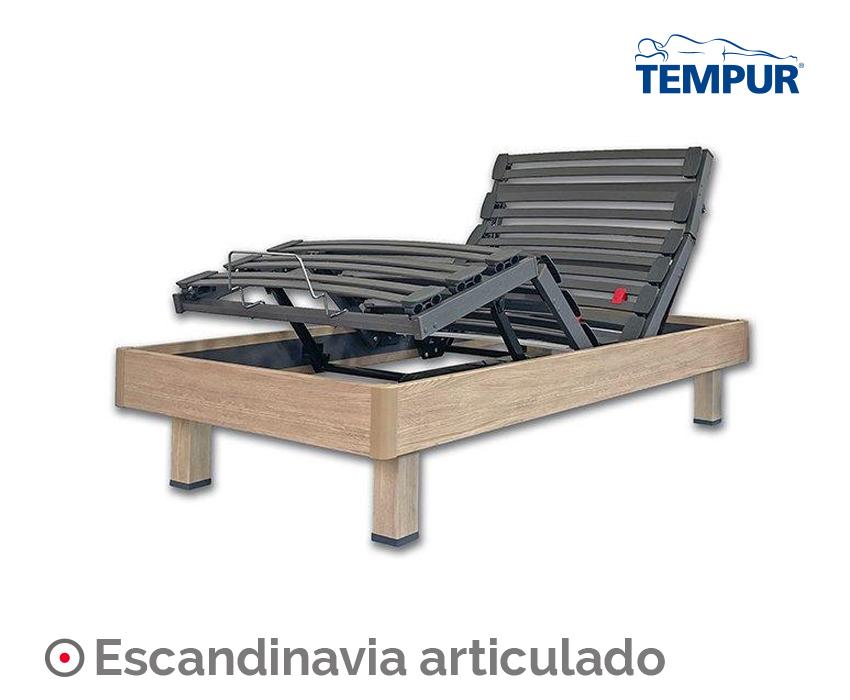 imagen 6 45.jpg