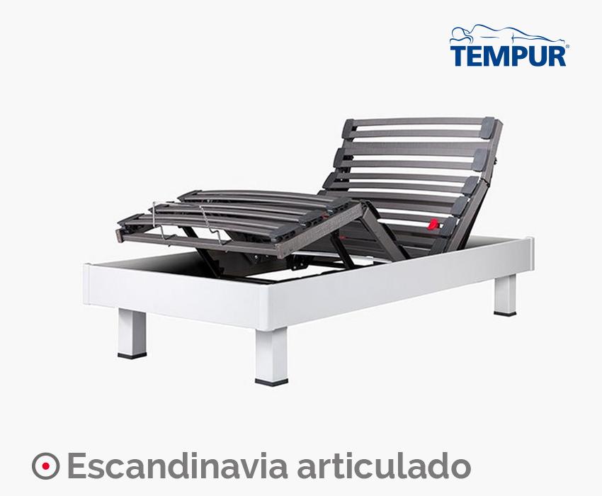 imagen 7 28.jpg