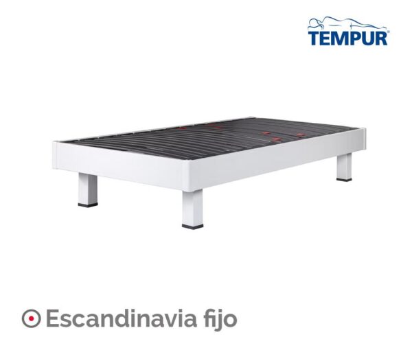 imagen 8 34.jpg