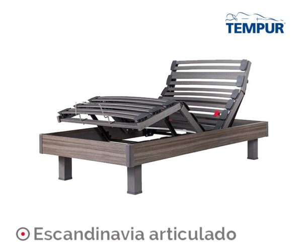 imagen 9 35.jpg