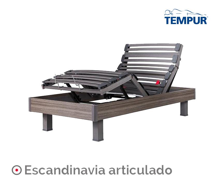 imagen 9 35.jpg